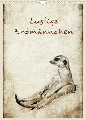 Lustige Erdmännchen (Wandkalender 2022 DIN A4 hoch) von Hultsch,  Heike