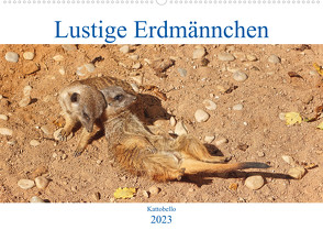Lustige Erdmännchen (Wandkalender 2023 DIN A2 quer) von kattobello