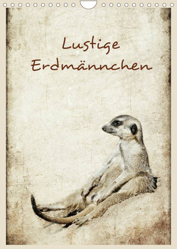 Lustige Erdmännchen (Wandkalender 2023 DIN A4 hoch) von Hultsch,  Heike