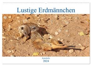 Lustige Erdmännchen (Wandkalender 2024 DIN A2 quer), CALVENDO Monatskalender von Kattobello,  Kattobello