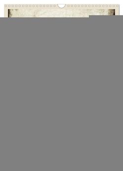Lustige Erdmännchen (Wandkalender 2024 DIN A3 hoch), CALVENDO Monatskalender von Hultsch,  Heike