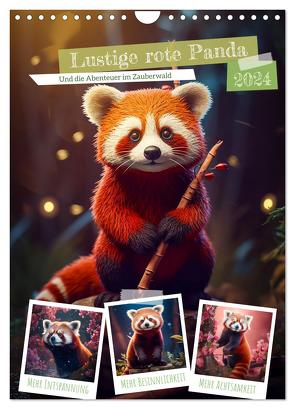 Lustige rote Panda (Wandkalender 2024 DIN A4 hoch), CALVENDO Monatskalender von Gierok-Latniak,  Steffen