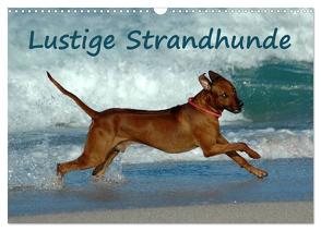 Lustige Strandhunde (Wandkalender 2024 DIN A3 quer), CALVENDO Monatskalender von van Wyk - www.germanpix.net,  Anke