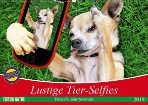 Lustige Tier-Selfies. Tierische Selbstportraits (Wandkalender 2019 DIN A2 quer) von Stanzer,  Elisabeth