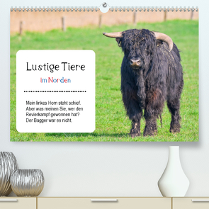 Lustige Tiere im Norden (Premium, hochwertiger DIN A2 Wandkalender 2021, Kunstdruck in Hochglanz) von Kulartz,  Rainer, Plett,  Lisa
