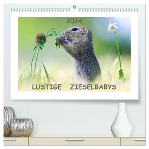 Lustige Zieselbabys (hochwertiger Premium Wandkalender 2024 DIN A2 quer), Kunstdruck in Hochglanz von Lang,  Werner