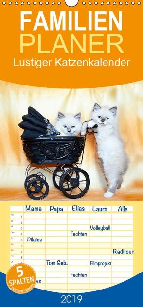 Lustiger Katzenkalender – Familienplaner hoch (Wandkalender 2019 , 21 cm x 45 cm, hoch) von Chrystal,  Jennifer