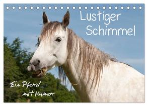Lustiger Schimmel – ein Pferd mit Humor (Tischkalender 2024 DIN A5 quer), CALVENDO Monatskalender von Bölts,  Meike