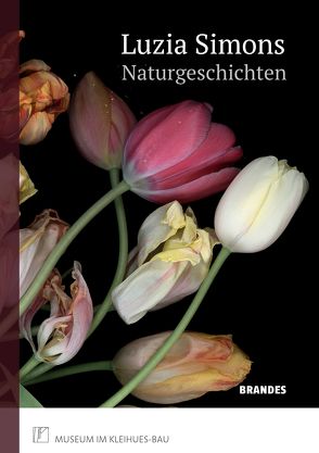 Luzia Simons | Naturgeschichten von Dams,  Saskia, Dr. Baumann,  Günter