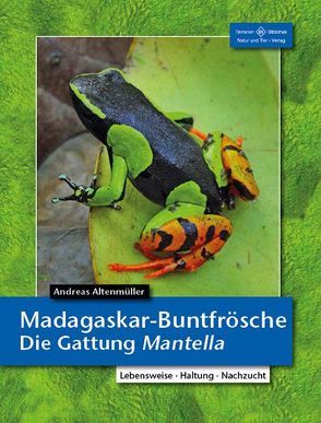Madagaskar-Buntfrösche von Altenmüller,  Andreas