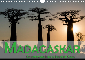 Madagaskar – Geheimnisvolle Insel im Indischen Ozean (Wandkalender 2020 DIN A4 quer) von Pohl,  Gerald