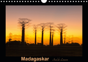 Madagaskar – Insel der Lemuren (Wandkalender 2020 DIN A4 quer) von Kribus,  Uwe