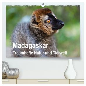 Madagaskar. Traumhafte Natur und Tierwelt (hochwertiger Premium Wandkalender 2024 DIN A2 quer), Kunstdruck in Hochglanz von Reuke,  Sabine