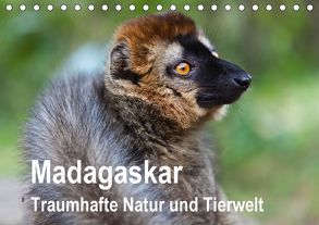 Madagaskar Traumhafte Natur und Tierwelt (Tischkalender 2018 DIN A5 quer) von Reuke,  Sabine