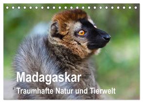 Madagaskar. Traumhafte Natur und Tierwelt (Tischkalender 2024 DIN A5 quer), CALVENDO Monatskalender von Reuke,  Sabine