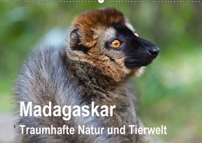 Madagaskar Traumhafte Natur und Tierwelt (Wandkalender 2018 DIN A2 quer) von Reuke,  Sabine