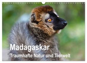 Madagaskar. Traumhafte Natur und Tierwelt (Wandkalender 2024 DIN A3 quer), CALVENDO Monatskalender von Reuke,  Sabine