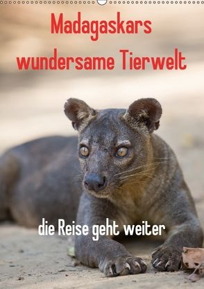 Madagaskars wundersame Tierwelt – die Reise geht weiter (Wandkalender 2018 DIN A2 hoch) von Hopfmann,  Antje