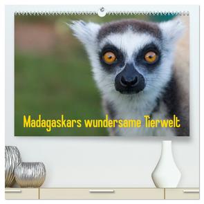 Madagaskars wundersame Tierwelt (hochwertiger Premium Wandkalender 2024 DIN A2 quer), Kunstdruck in Hochglanz von Hopfmann,  Antje