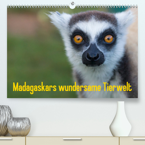 Madagaskars wundersame Tierwelt (Premium, hochwertiger DIN A2 Wandkalender 2021, Kunstdruck in Hochglanz) von Hopfmann,  Antje
