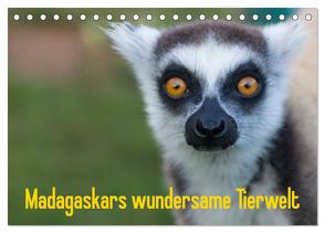 Madagaskars wundersame Tierwelt (Tischkalender 2024 DIN A5 quer), CALVENDO Monatskalender von Hopfmann,  Antje