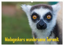 Madagaskars wundersame Tierwelt (Wandkalender 2024 DIN A2 quer), CALVENDO Monatskalender von Hopfmann,  Antje