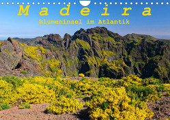 Madeira Blumeninsel im Atlantik (Wandkalender 2023 DIN A4 quer) von Lielischkies,  Klaus