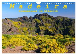 Madeira Blumeninsel im Atlantik (Wandkalender 2024 DIN A4 quer), CALVENDO Monatskalender von Lielischkies,  Klaus