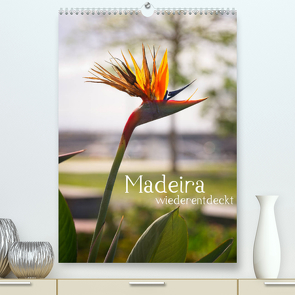 Madeira – wiederentdeckt (Premium, hochwertiger DIN A2 Wandkalender 2022, Kunstdruck in Hochglanz) von Weber,  Philipp