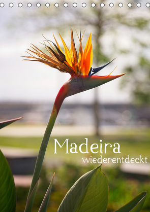 Madeira – wiederentdeckt (Tischkalender 2021 DIN A5 hoch) von Weber,  Philipp