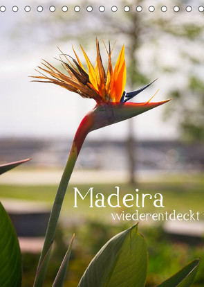 Madeira – wiederentdeckt (Tischkalender 2023 DIN A5 hoch) von Weber,  Philipp