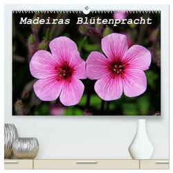 Madeiras Blütenpracht (hochwertiger Premium Wandkalender 2024 DIN A2 quer), Kunstdruck in Hochglanz von Lielischkies,  Klaus