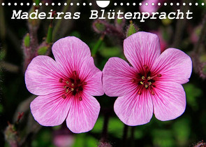 Madeiras Blütenpracht (Wandkalender 2023 DIN A4 quer) von Lielischkies,  Klaus