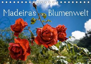 Madeiras Blumenwelt (Tischkalender 2019 DIN A5 quer) von Woehlke,  Juergen