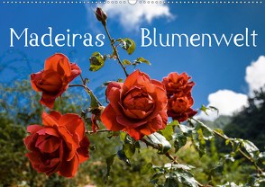 Madeiras Blumenwelt (Wandkalender 2021 DIN A2 quer) von Woehlke,  Juergen