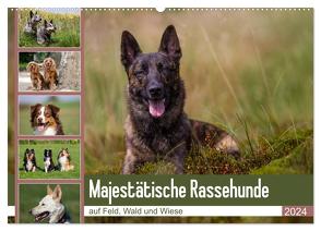 Mäjestätische Rassehunde auf Feld, Wald und Wiese (Wandkalender 2024 DIN A2 quer), CALVENDO Monatskalender von Verena Scholze,  Fotodesign