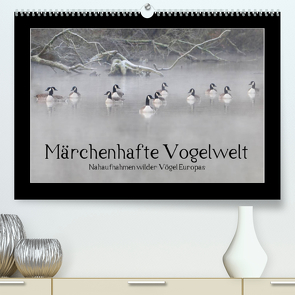Märchenhafte Vogelwelt (Premium, hochwertiger DIN A2 Wandkalender 2023, Kunstdruck in Hochglanz) von Lebeus,  Marvin
