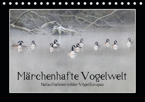 Märchenhafte Vogelwelt (Tischkalender 2021 DIN A5 quer) von Lebeus,  Marvin