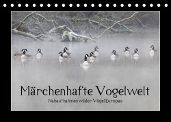 Märchenhafte Vogelwelt (Tischkalender 2023 DIN A5 quer) von Lebeus,  Marvin