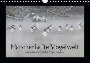 Märchenhafte Vogelwelt (Wandkalender 2021 DIN A4 quer) von Lebeus,  Marvin