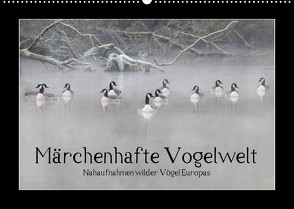 Märchenhafte Vogelwelt (Wandkalender 2023 DIN A2 quer) von Lebeus,  Marvin