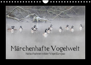 Märchenhafte Vogelwelt (Wandkalender 2023 DIN A4 quer) von Lebeus,  Marvin