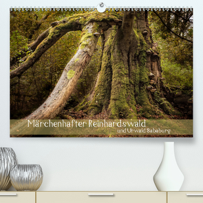 Märchenhafter Reinhardswald und Urwald Sababurg (Premium, hochwertiger DIN A2 Wandkalender 2021, Kunstdruck in Hochglanz) von Pohl,  Michael