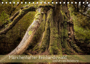 Märchenhafter Reinhardswald und Urwald Sababurg (Tischkalender 2023 DIN A5 quer) von Pohl,  Michael