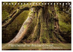 Märchenhafter Reinhardswald und Urwald Sababurg (Tischkalender 2024 DIN A5 quer), CALVENDO Monatskalender von Pohl,  Michael