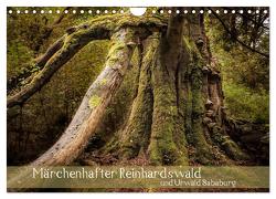 Märchenhafter Reinhardswald und Urwald Sababurg (Wandkalender 2024 DIN A4 quer), CALVENDO Monatskalender von Pohl,  Michael