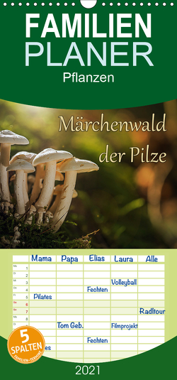 Märchenwald der Pilze – Familienplaner hoch (Wandkalender 2021 , 21 cm x 45 cm, hoch) von Radtke,  Philipp