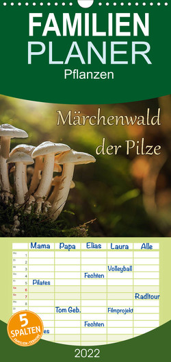 Familienplaner Märchenwald der Pilze (Wandkalender 2022 , 21 cm x 45 cm, hoch) von Radtke,  Philipp