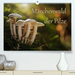 Märchenwald der Pilze (Premium, hochwertiger DIN A2 Wandkalender 2021, Kunstdruck in Hochglanz) von Radtke,  Philipp