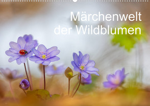 Märchenwelt der Wildblumen (Wandkalender 2023 DIN A2 quer) von Spranz,  Henrik